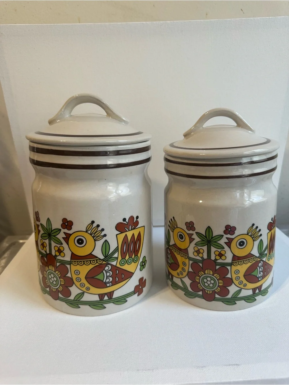 Set of 2 Vintage Retro Ceramic Bird Canister Set